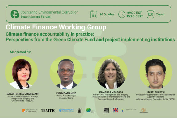 Climate Finance Working Group Flyer